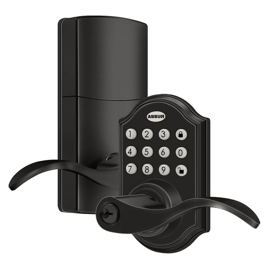 A325-SL - ASSUR Keyless Entry Door Lock Smart Door Locks Electronic Door Lock with Handle Lever, One-Touching Locking, Up to 50 Pin Codes Ideal for Home Office Condo Garage Rental Unit (Black)